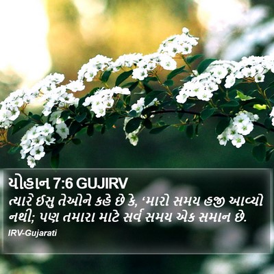 યોહાન 7:6 GUJIRV Bible Verse Image