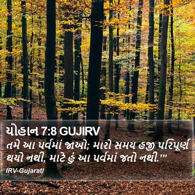 યોહાન 7:8 GUJIRV Bible Verse Image