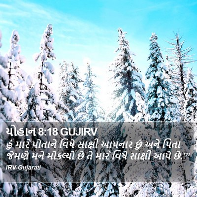 યોહાન 8:18 GUJIRV Bible Verse Image
