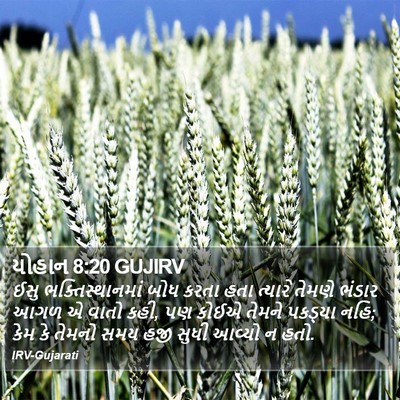 યોહાન 8:20 GUJIRV Bible Verse Image