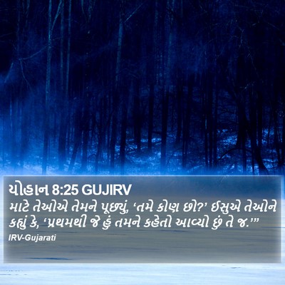 યોહાન 8:25 GUJIRV Bible Verse Image