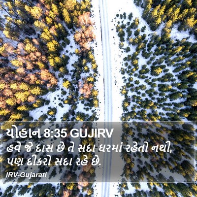 યોહાન 8:35 GUJIRV Bible Verse Image