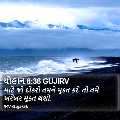 યોહાન 8:36 GUJIRV Bible Verse Image