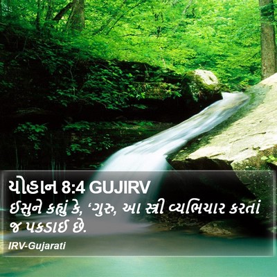 યોહાન 8:4 GUJIRV Bible Verse Image