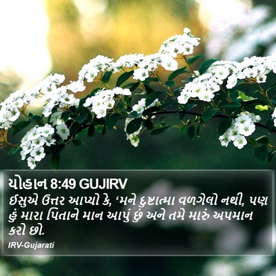 યોહાન 8:49 GUJIRV Bible Verse Image