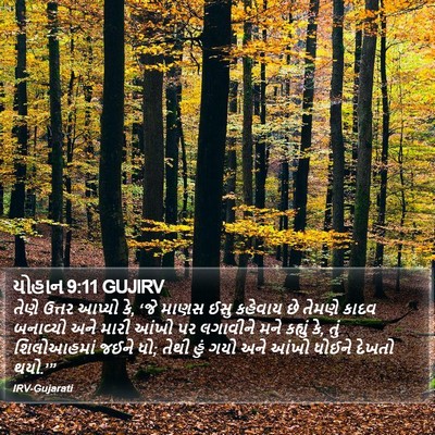 યોહાન 9:11 GUJIRV Bible Verse Image