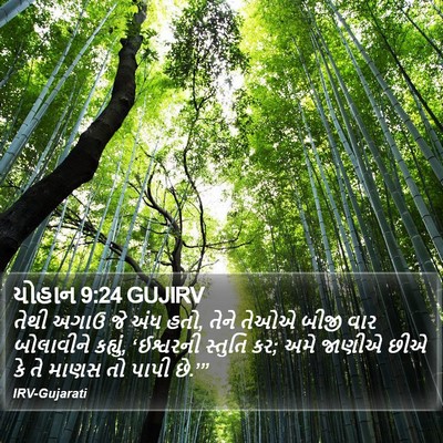 યોહાન 9:24 GUJIRV Bible Verse Image