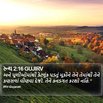 રૂથ 2:16 GUJIRV Bible Verse Image