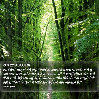 રૂથ 2:19 GUJIRV Bible Verse Image