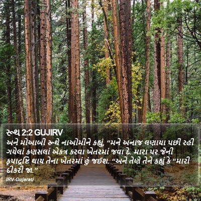 રૂથ 2:2 GUJIRV Bible Verse Image
