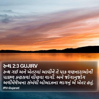 રૂથ 2:3 GUJIRV Bible Verse Image