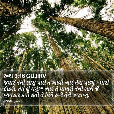 રૂથ 3:16 GUJIRV Bible Verse Image