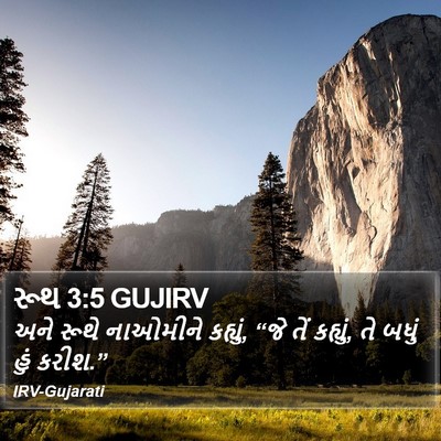 રૂથ 3:5 GUJIRV Bible Verse Image