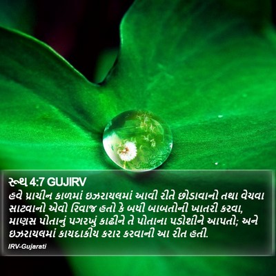 રૂથ 4:7 GUJIRV Bible Verse Image