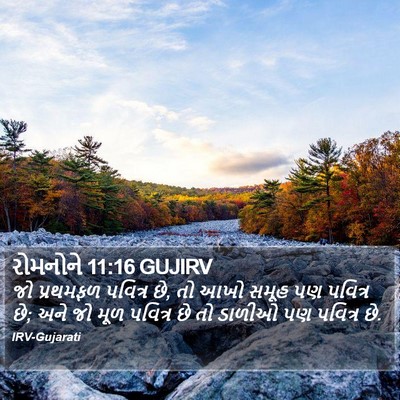 રોમનોને 11:16 GUJIRV Bible Verse Image