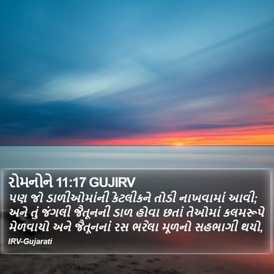 રોમનોને 11:17 GUJIRV Bible Verse Image