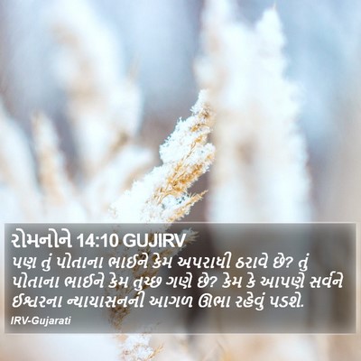 રોમનોને 14:10 GUJIRV Bible Verse Image
