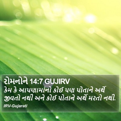 રોમનોને 14:7 GUJIRV Bible Verse Image