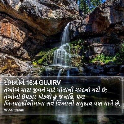 રોમનોને 16:4 GUJIRV Bible Verse Image