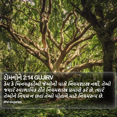 રોમનોને 2:14 GUJIRV Bible Verse Image