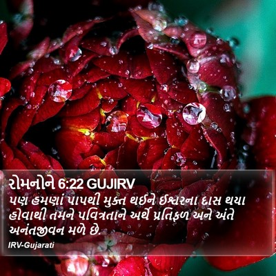 રોમનોને 6:22 GUJIRV Bible Verse Image