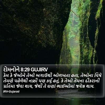 રોમનોને 8:29 GUJIRV Bible Verse Image