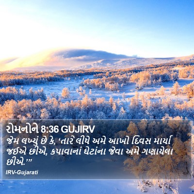 રોમનોને 8:36 GUJIRV Bible Verse Image