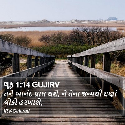લૂક 1:14 GUJIRV Bible Verse Image