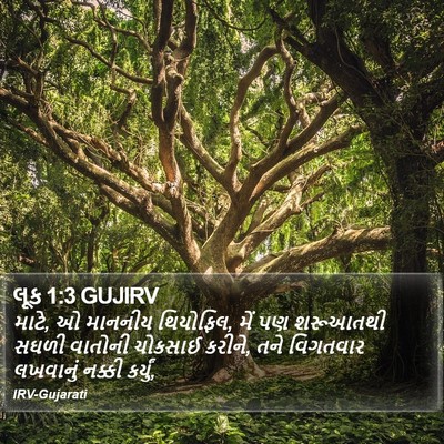 લૂક 1:3 GUJIRV Bible Verse Image