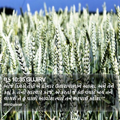 લૂક 10:35 GUJIRV Bible Verse Image