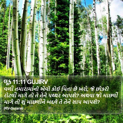 લૂક 11:11 GUJIRV Bible Verse Image