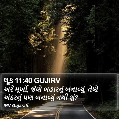લૂક 11:40 GUJIRV Bible Verse Image