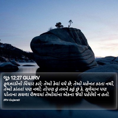 લૂક 12:27 GUJIRV Bible Verse Image