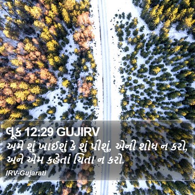 લૂક 12:29 GUJIRV Bible Verse Image