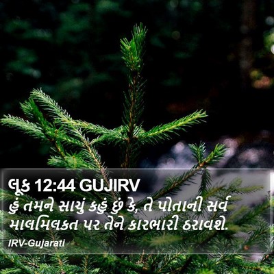 લૂક 12:44 GUJIRV Bible Verse Image