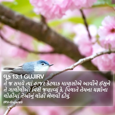 લૂક 13:1 GUJIRV Bible Verse Image