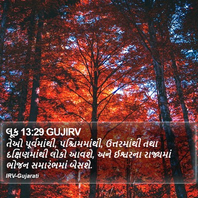 લૂક 13:29 GUJIRV Bible Verse Image