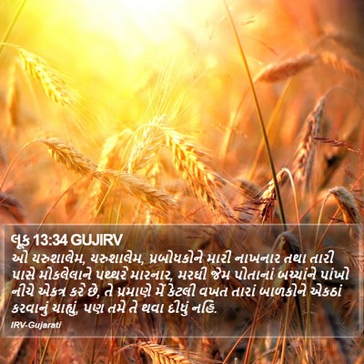 લૂક 13:34 GUJIRV Bible Verse Image