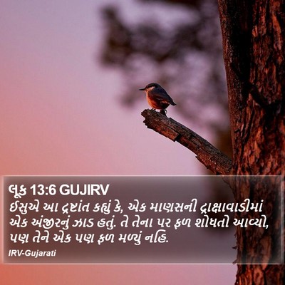 લૂક 13:6 GUJIRV Bible Verse Image