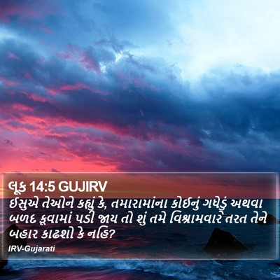 લૂક 14:5 GUJIRV Bible Verse Image