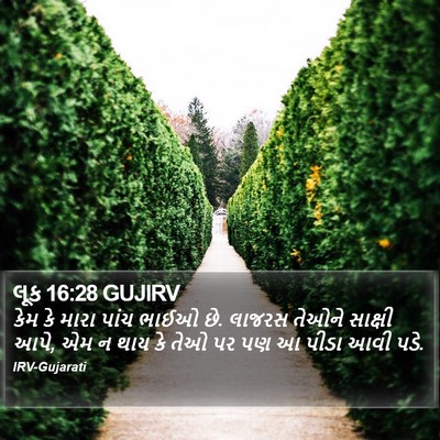 લૂક 16:28 GUJIRV Bible Verse Image