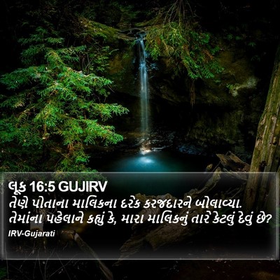 લૂક 16:5 GUJIRV Bible Verse Image