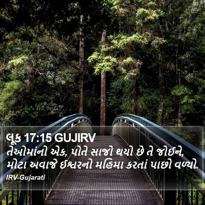 લૂક 17:15 GUJIRV Bible Verse Image