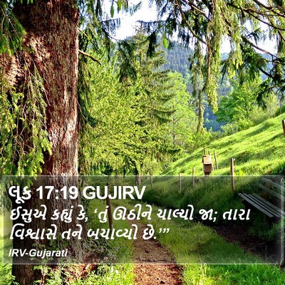 લૂક 17:19 GUJIRV Bible Verse Image