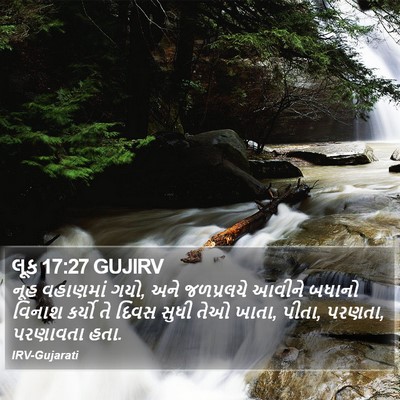 લૂક 17:27 GUJIRV Bible Verse Image