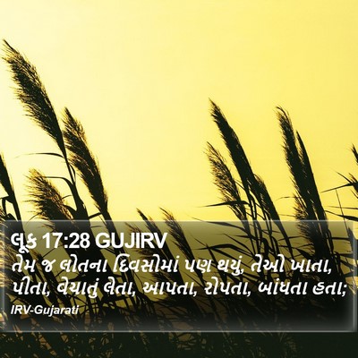 લૂક 17:28 GUJIRV Bible Verse Image