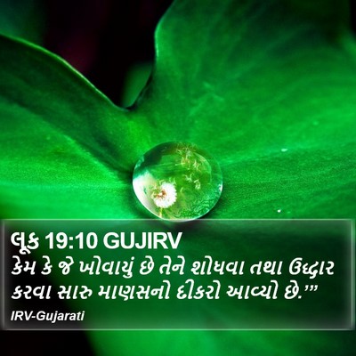 લૂક 19:10 GUJIRV Bible Verse Image