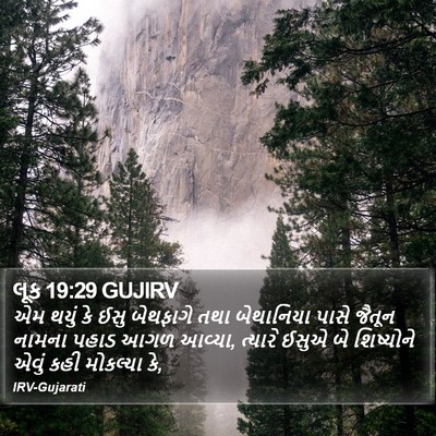 લૂક 19:29 GUJIRV Bible Verse Image