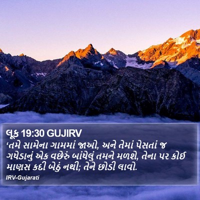 લૂક 19:30 GUJIRV Bible Verse Image