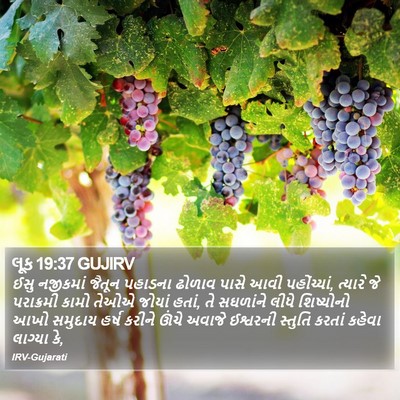 લૂક 19:37 GUJIRV Bible Verse Image